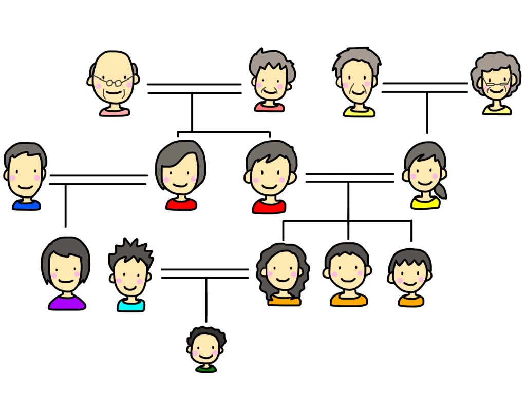 家系図イメージ